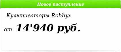 Мотокультиватор Robbyx WM1000 - main